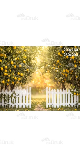 Tło fotograficzne Cytryny 3464